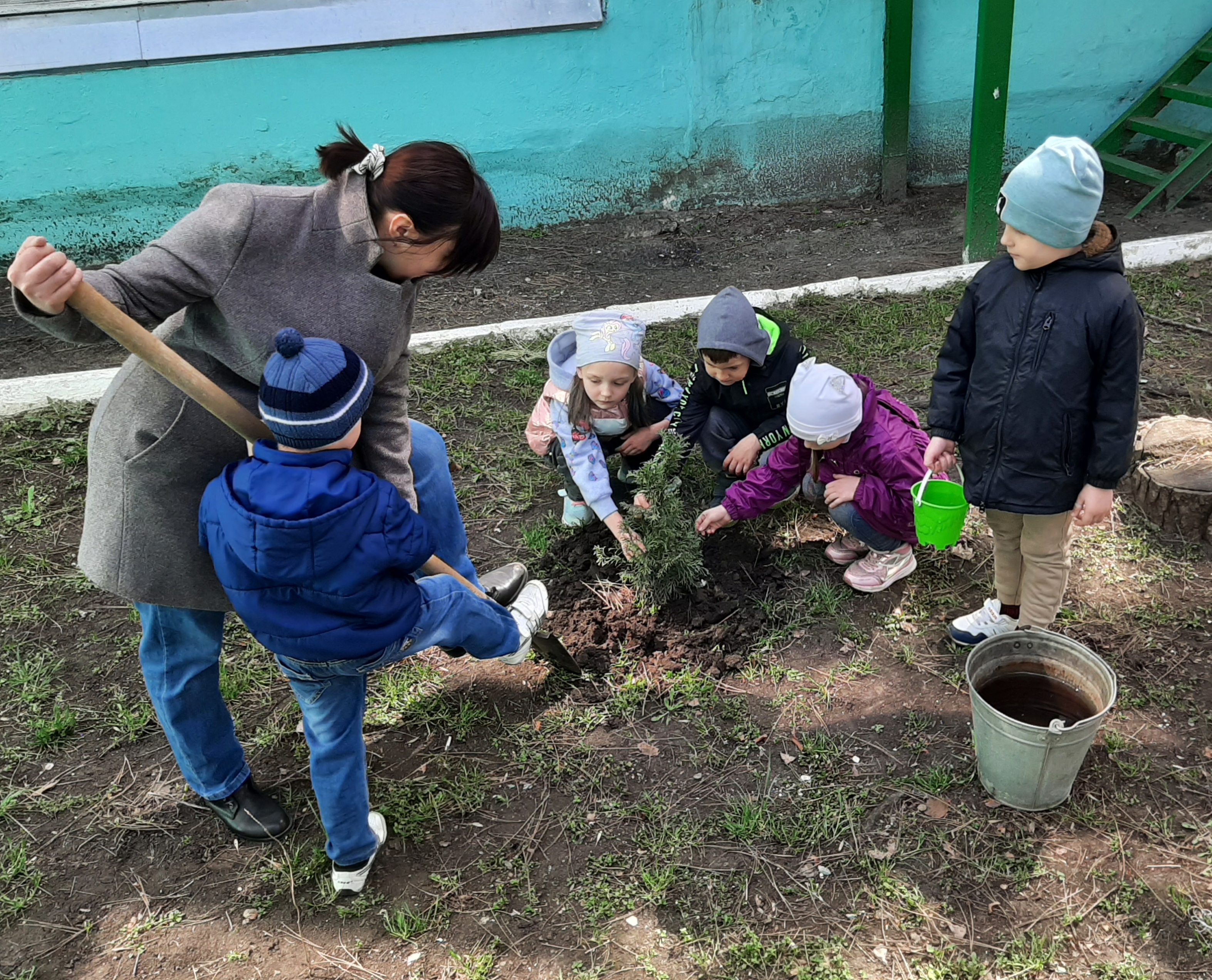 День древонасаждения