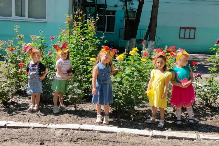 День бабочек